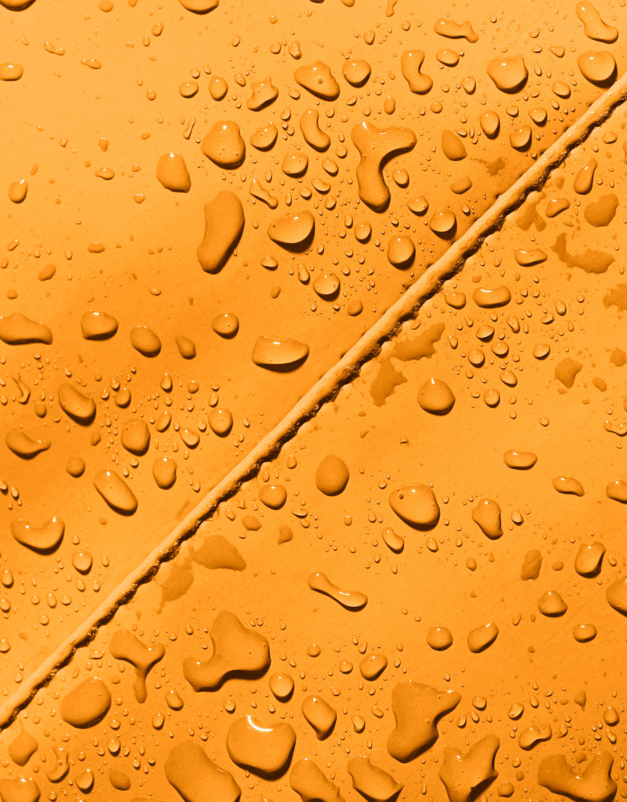 נעלי נשים - Ucon Acrobatics - תיק גב ELIZA LOTUS - כתום4